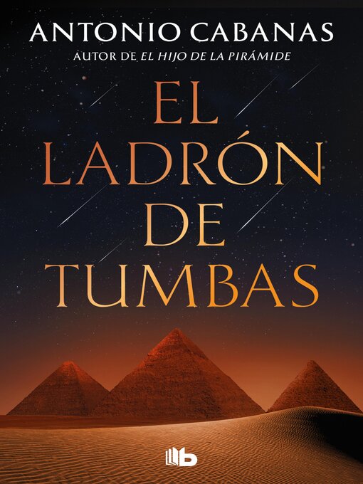 Cover image for El ladrón de tumbas